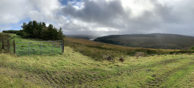 Metal field gate at the edge of open upland grazing under heavy cloud