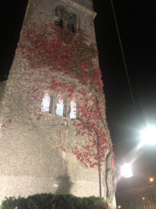 Floodlit church tower covered in autumn creeper, photographed at night