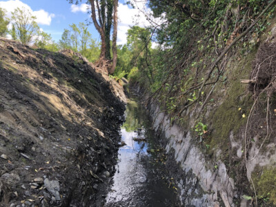 Steep cut bank beside a narrow watercourse running through woodland